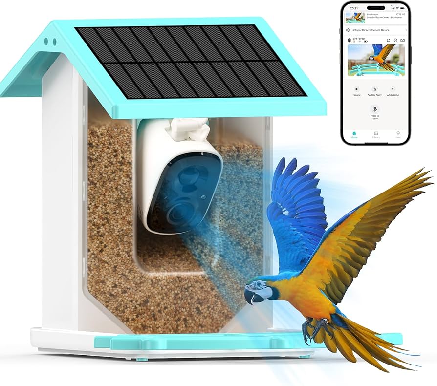 Bird and squirrel watching cover photo collage