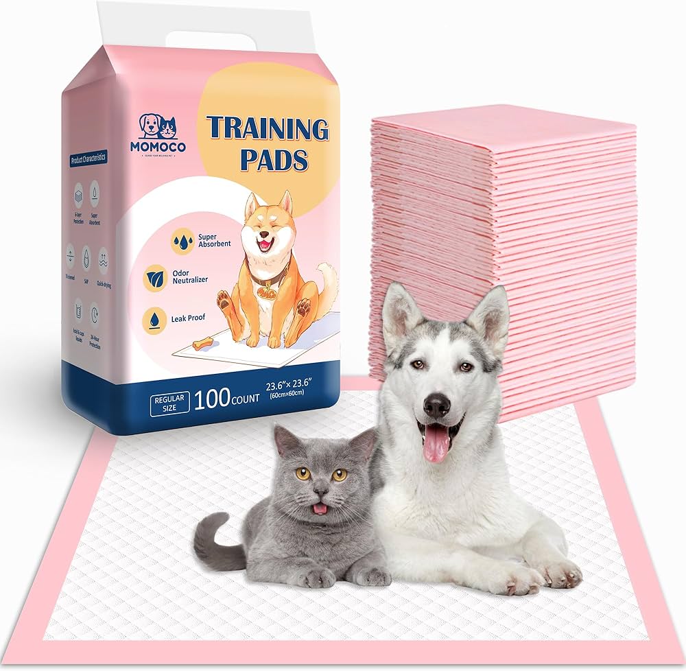 Pet Accessories 🐕🐈 cover photo collage