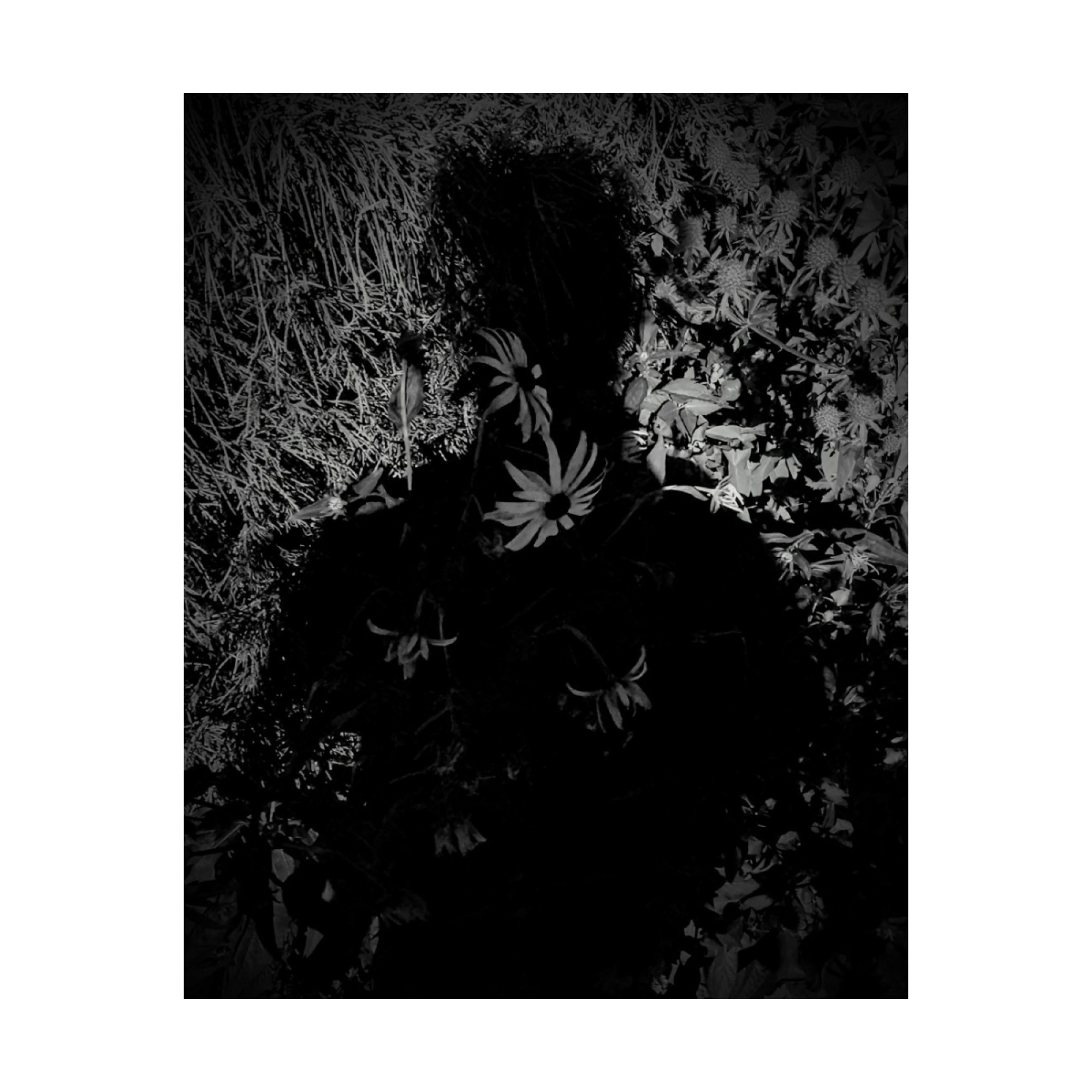 Symbolism, Myth & Floral Designs: My Original Art Available on Threadless cover photo collage