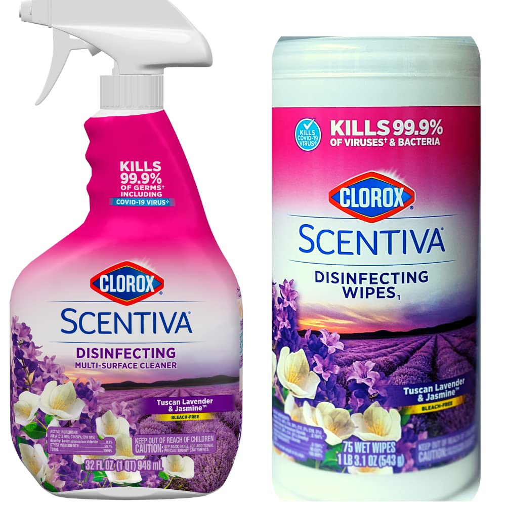 Clean Home Anyone? cover photo collage