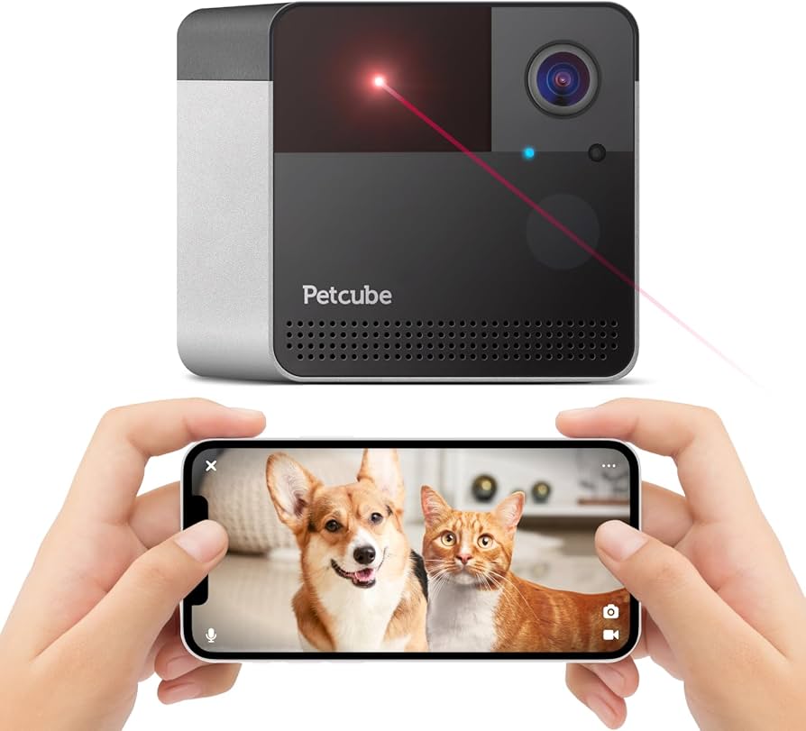 Best Interactive Toys for Dogs cover photo collage