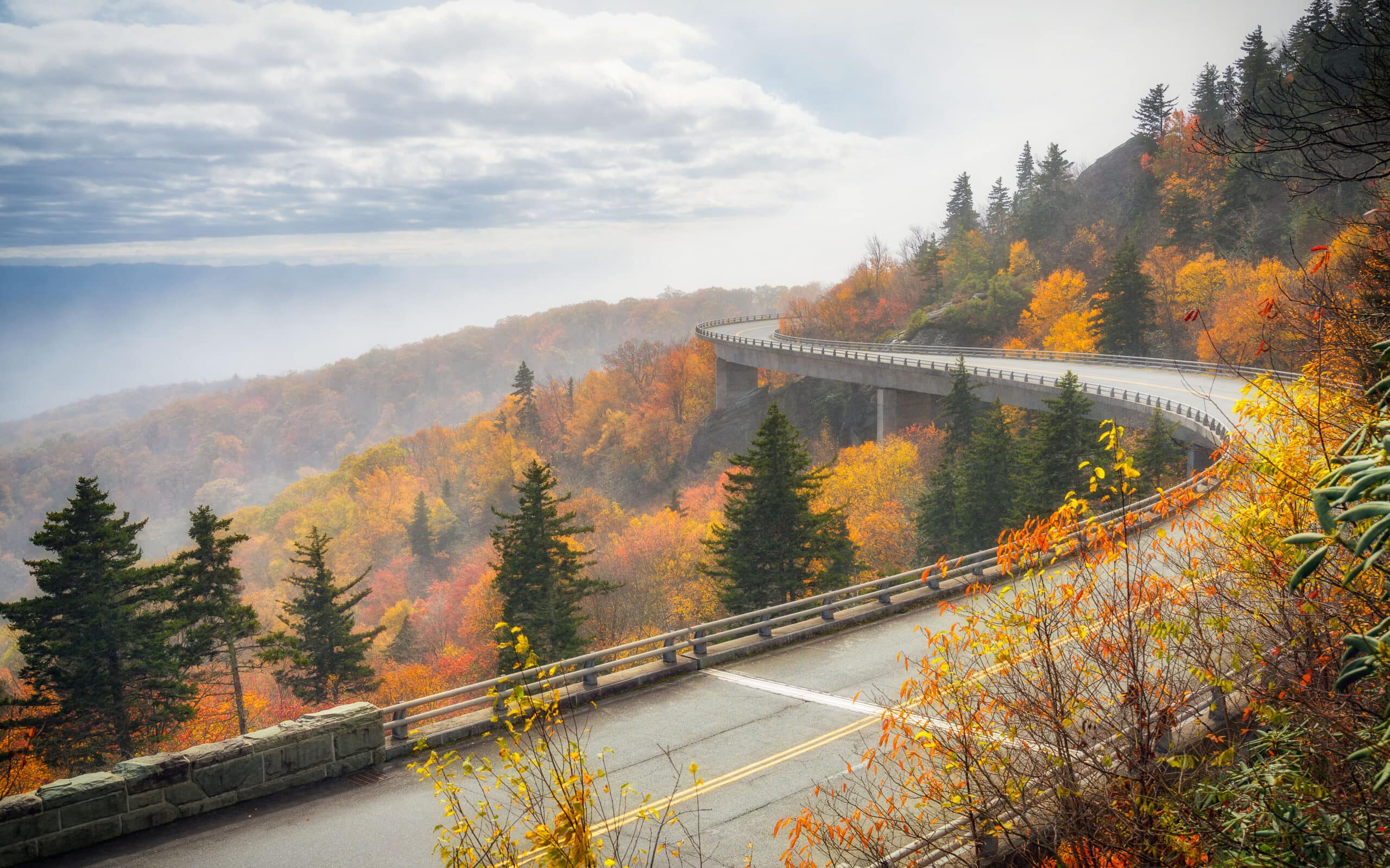 Discover USA Nature cover photo collage
