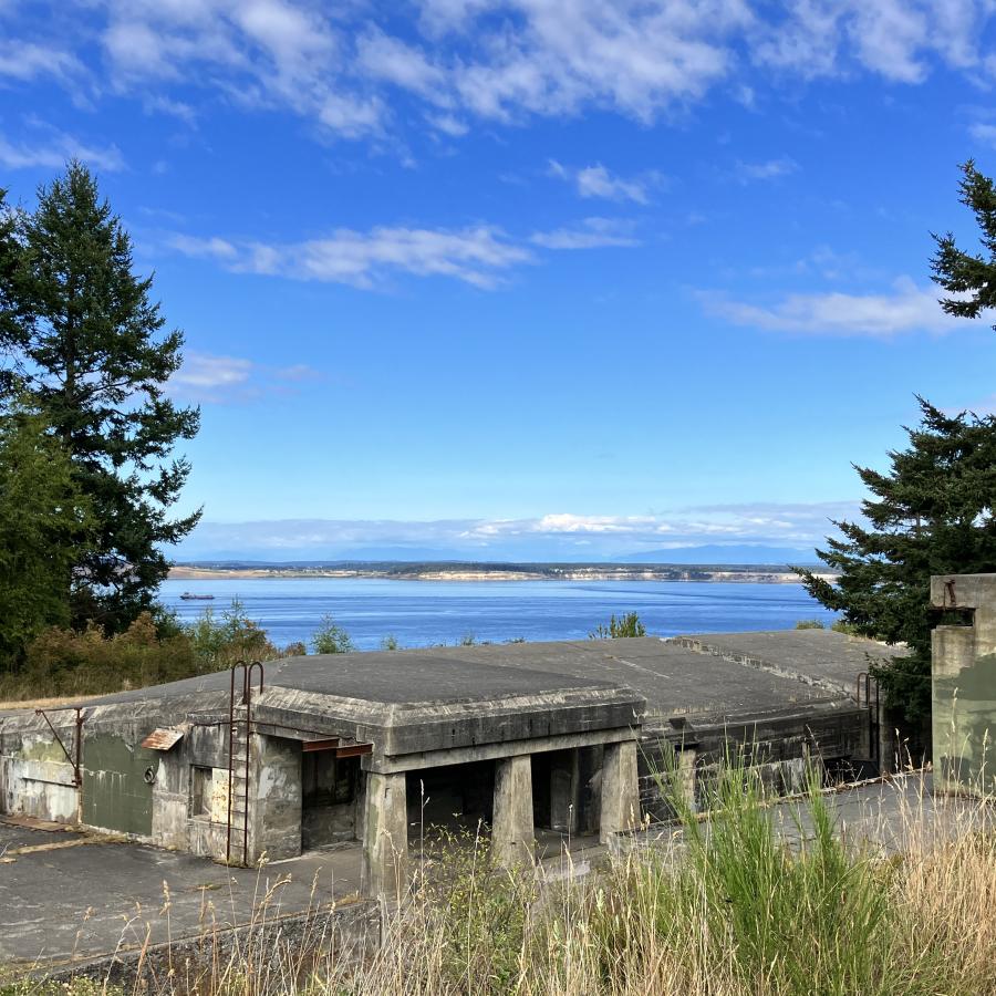 Dog-Friendly Historic Sites and Scenic Drives in Port Townsend, WA cover photo collage
