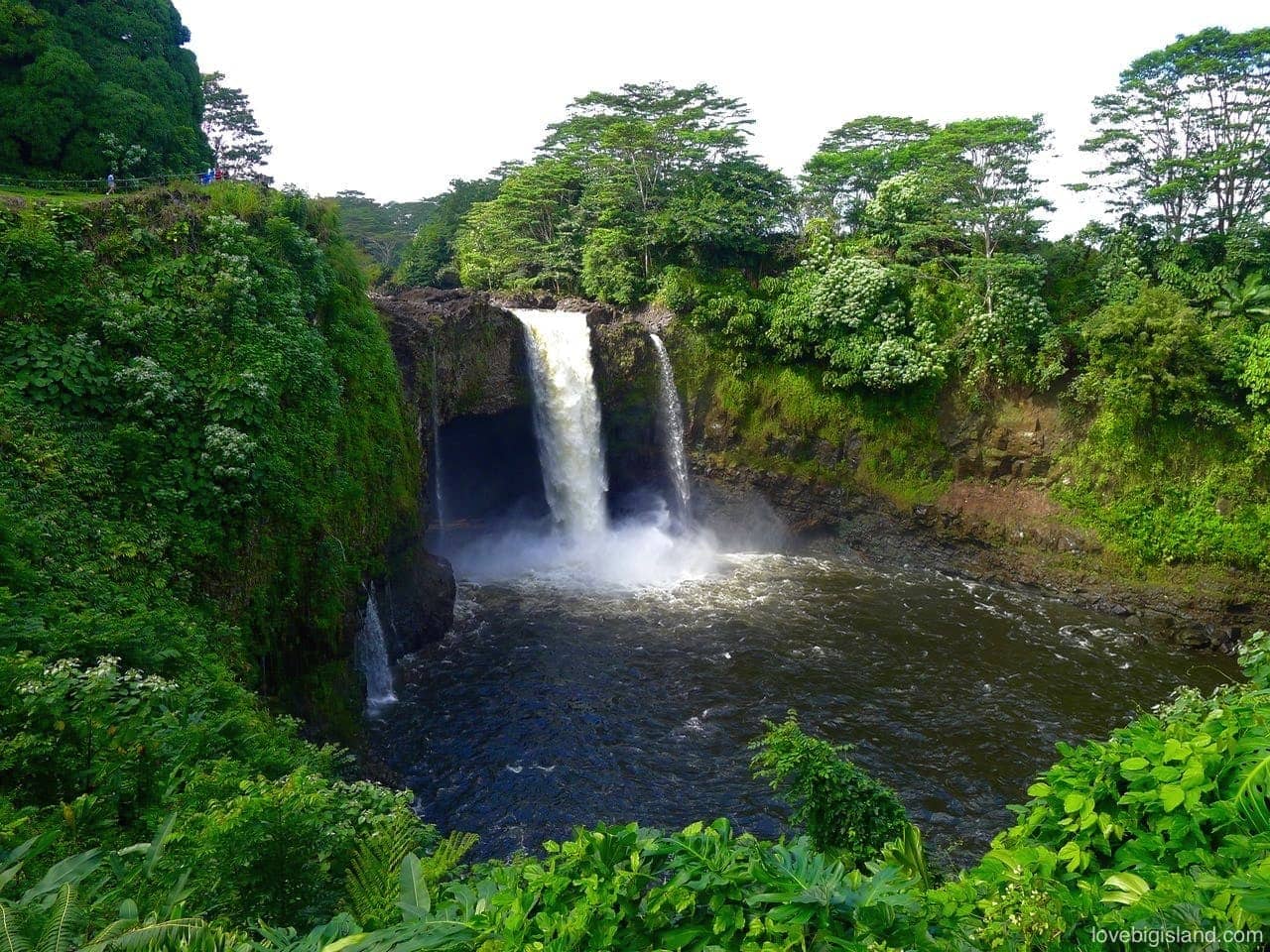 Family Fun in Hilo cover photo collage