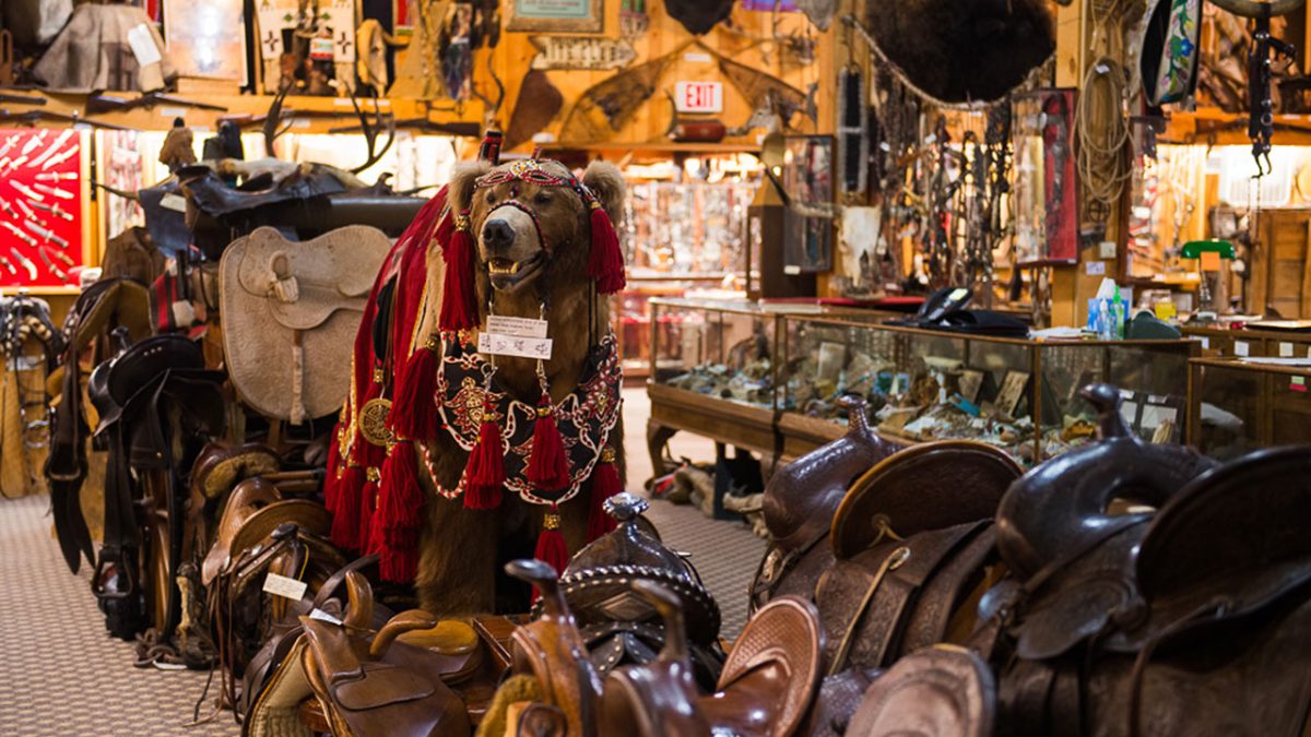 Epic Sheridan Shenanigans for the History Buff cover photo collage