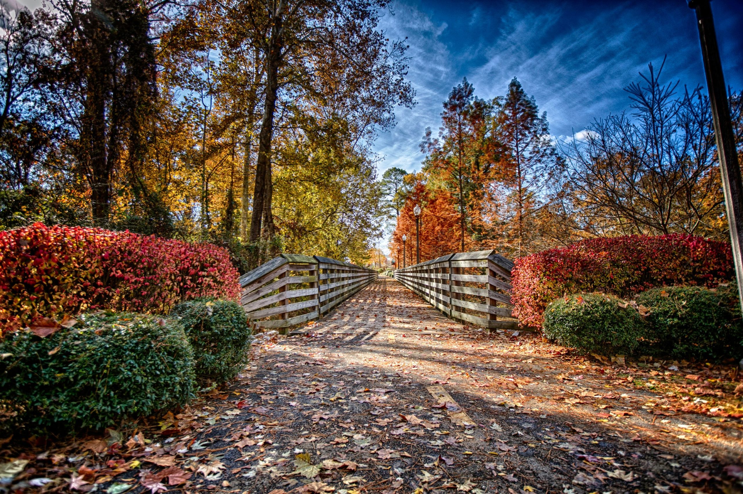 Exploring Tuscaloosa: A Mix of Culture and Nature cover photo collage