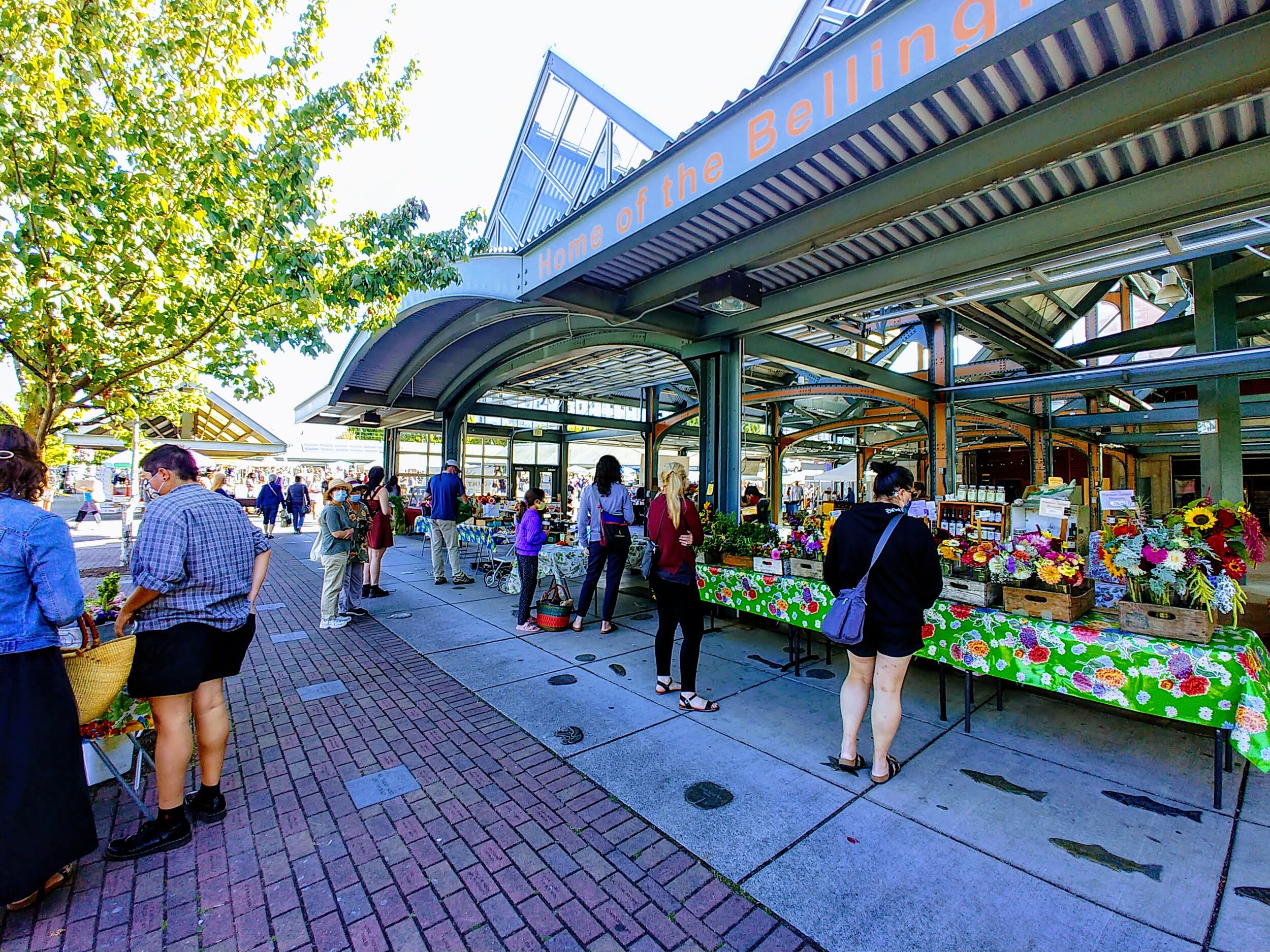 Affordable Fun Spots in Bellingham WA cover photo collage