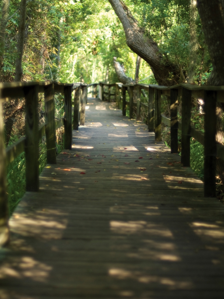 Hilton Head Island Nature Lovers cover photo collage