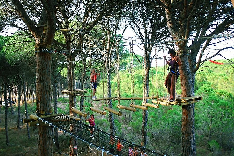 Adventure Time in Brașov! cover photo collage