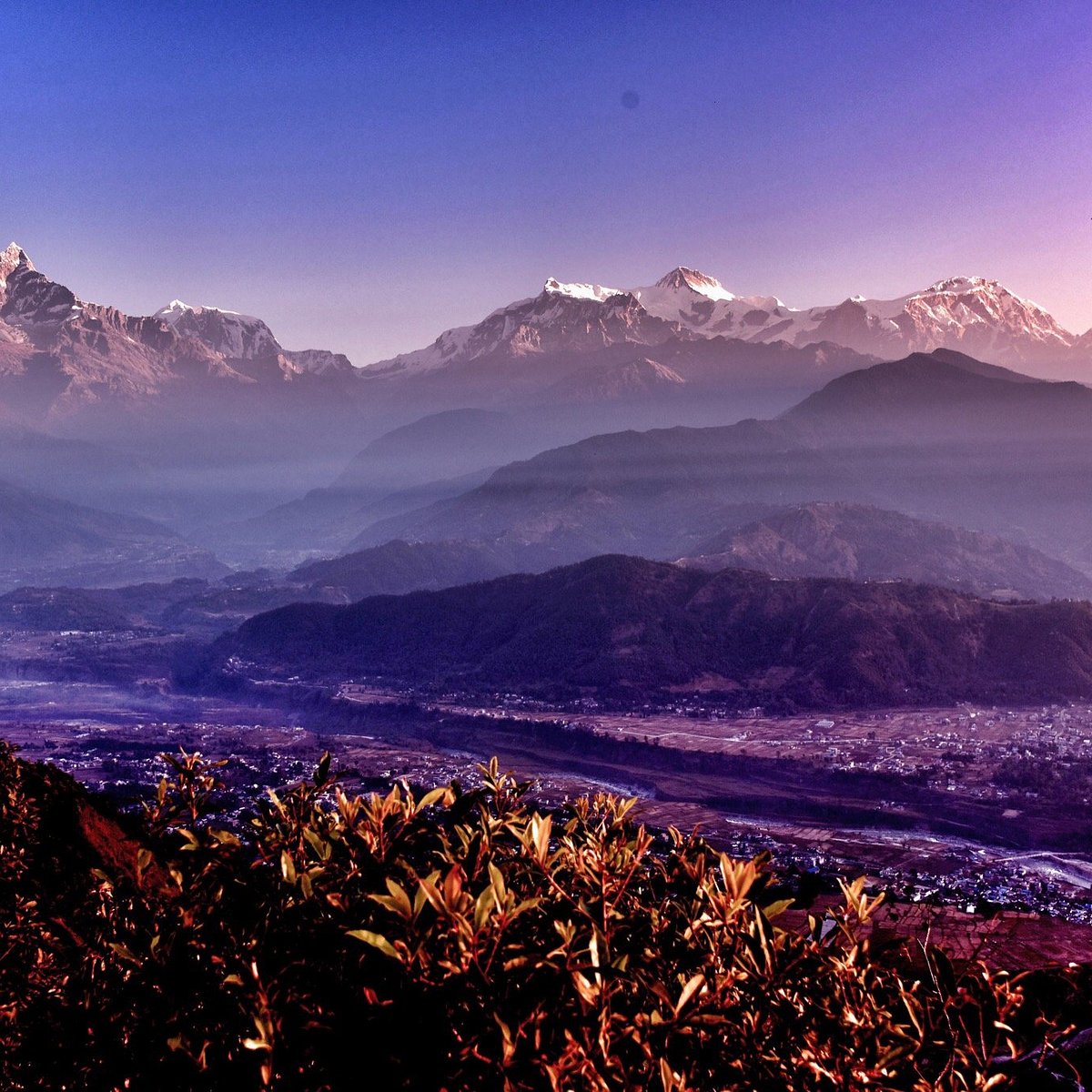 Explore Pokhara: Culinary Delights and Natural Wonders cover photo collage