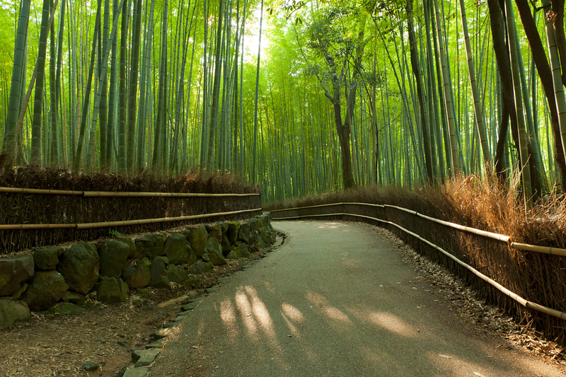 Eco-Friendly Destinations in Kyoto cover photo collage