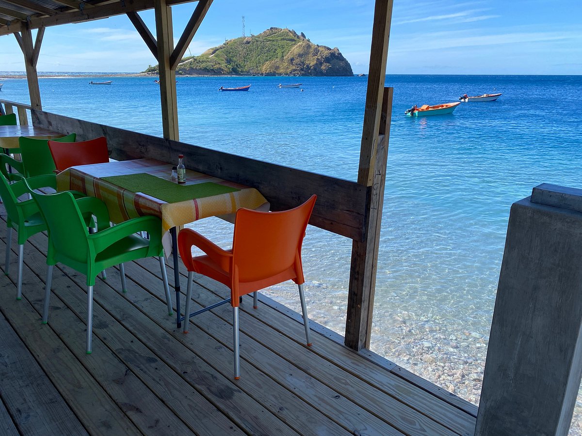 Eco-Friendly Eats and Places in Scotts Head cover photo collage