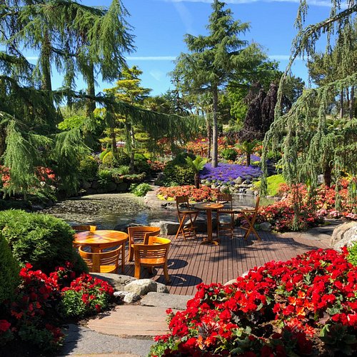 Family Fun in Stavanger cover photo collage