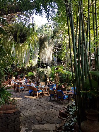 Chiang Mai's Artful Eats and Rejuvenating Retreats cover photo collage