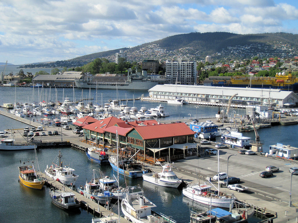 Chillin' in Hobart for Fall Break cover photo collage