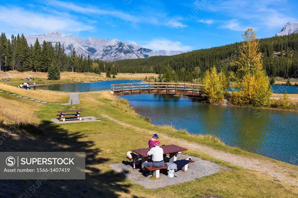 Dog-Friendly Fun in Banff cover photo collage