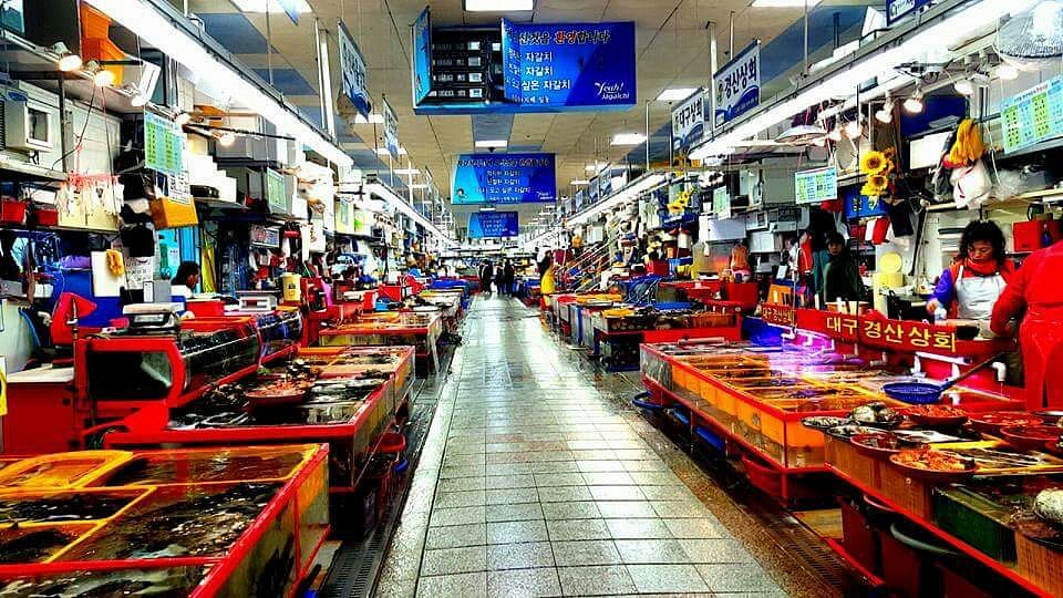 Must-Try Eats in Busan cover photo collage