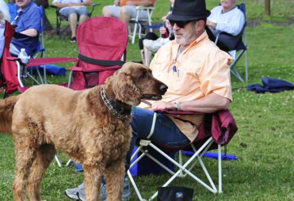 Dog Friendly Spots in Dahlonega cover photo collage