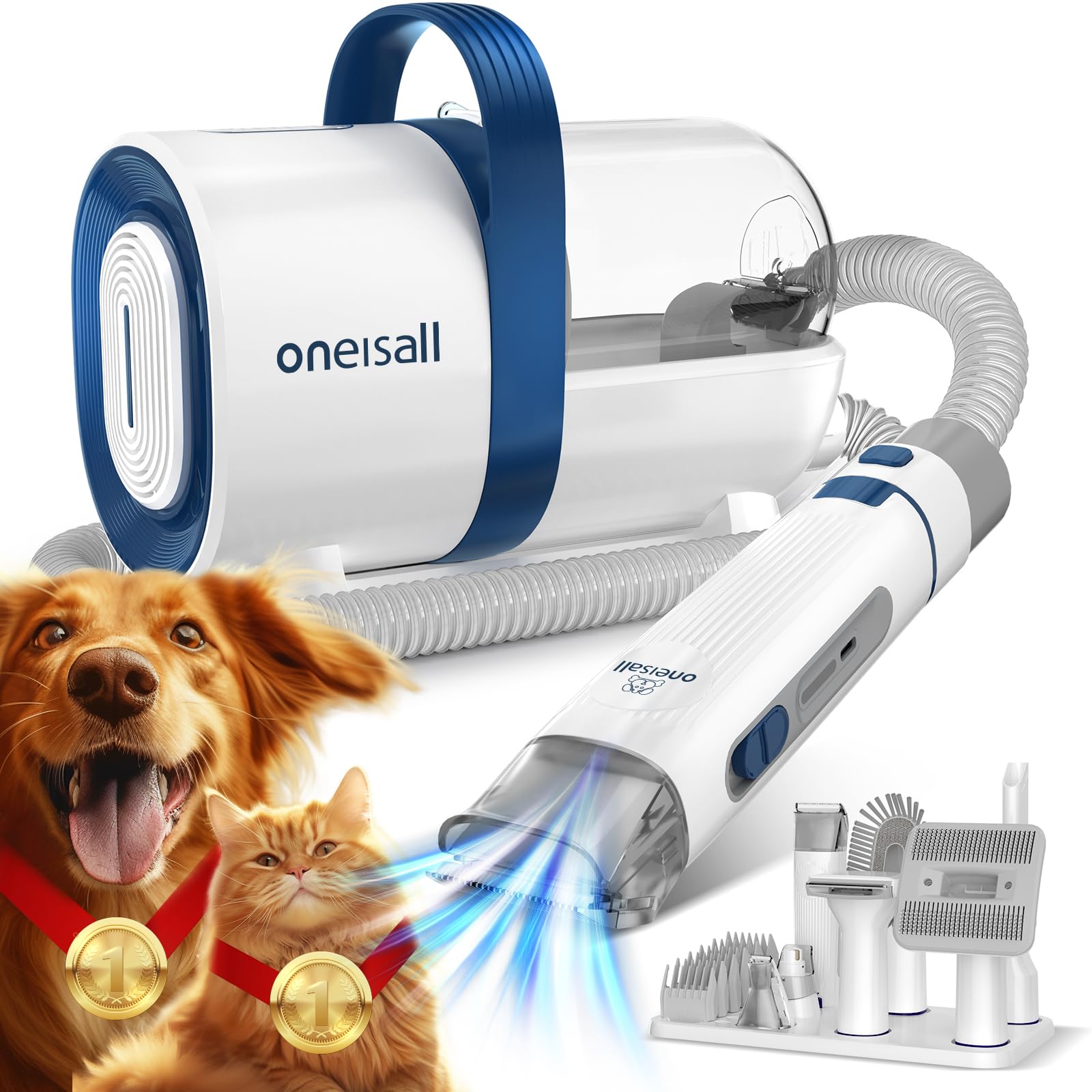 Multi‑Dog Household Must‑Haves for a Smooth Daily Routine cover photo collage