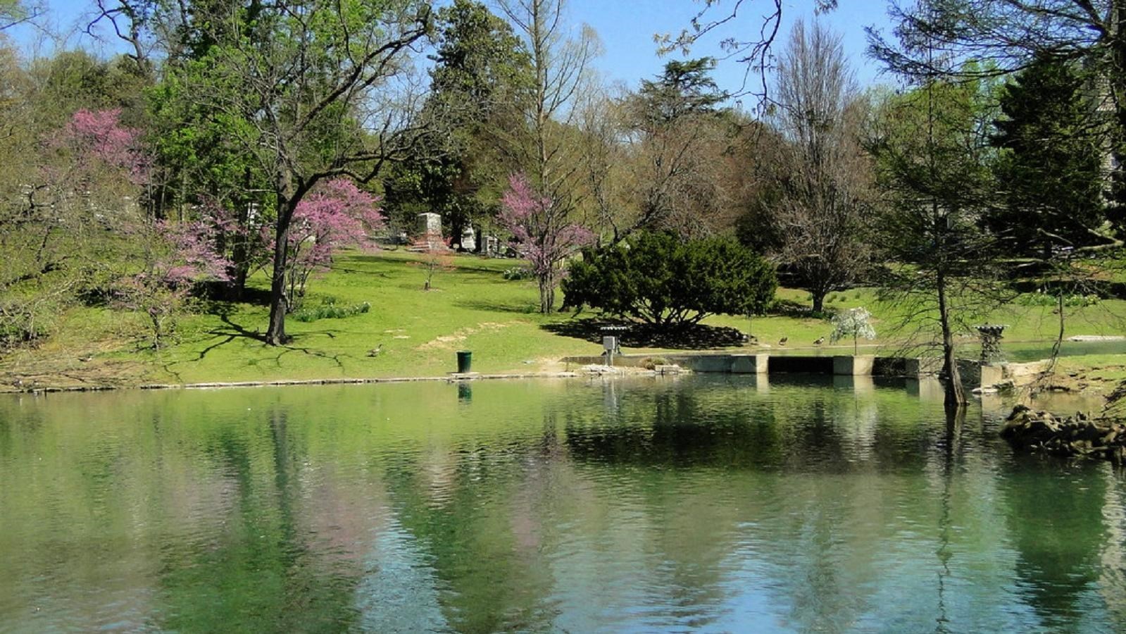 My Old Kentucky Home:  Your comprehensive To Do List cover photo collage