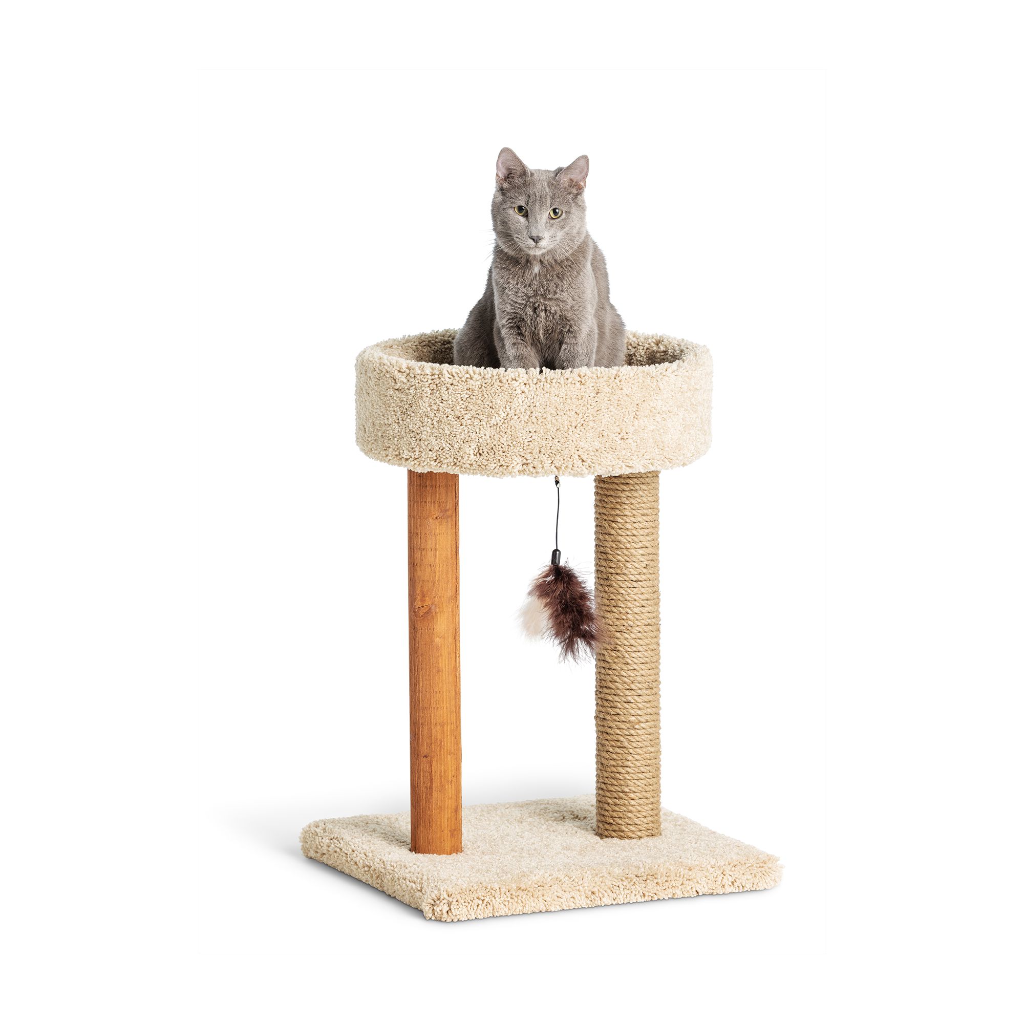 Cat Owner Essentials cover photo collage