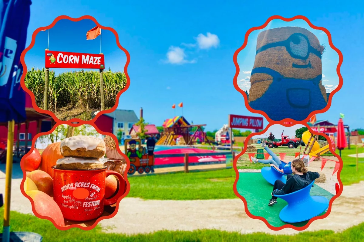 Family Fun Around the  Chicagoland Suburbs cover photo collage