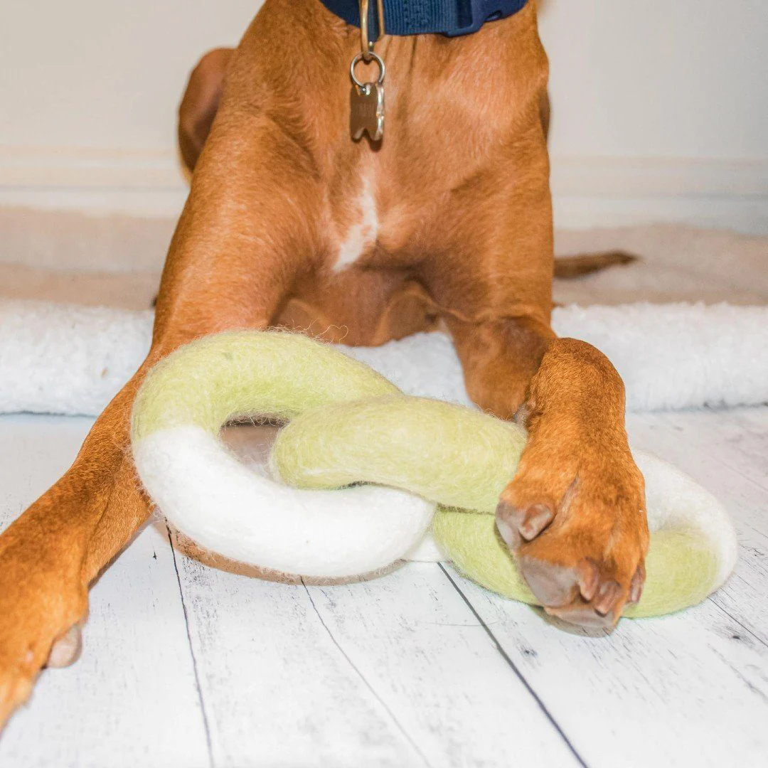 Green Pups cover photo collage