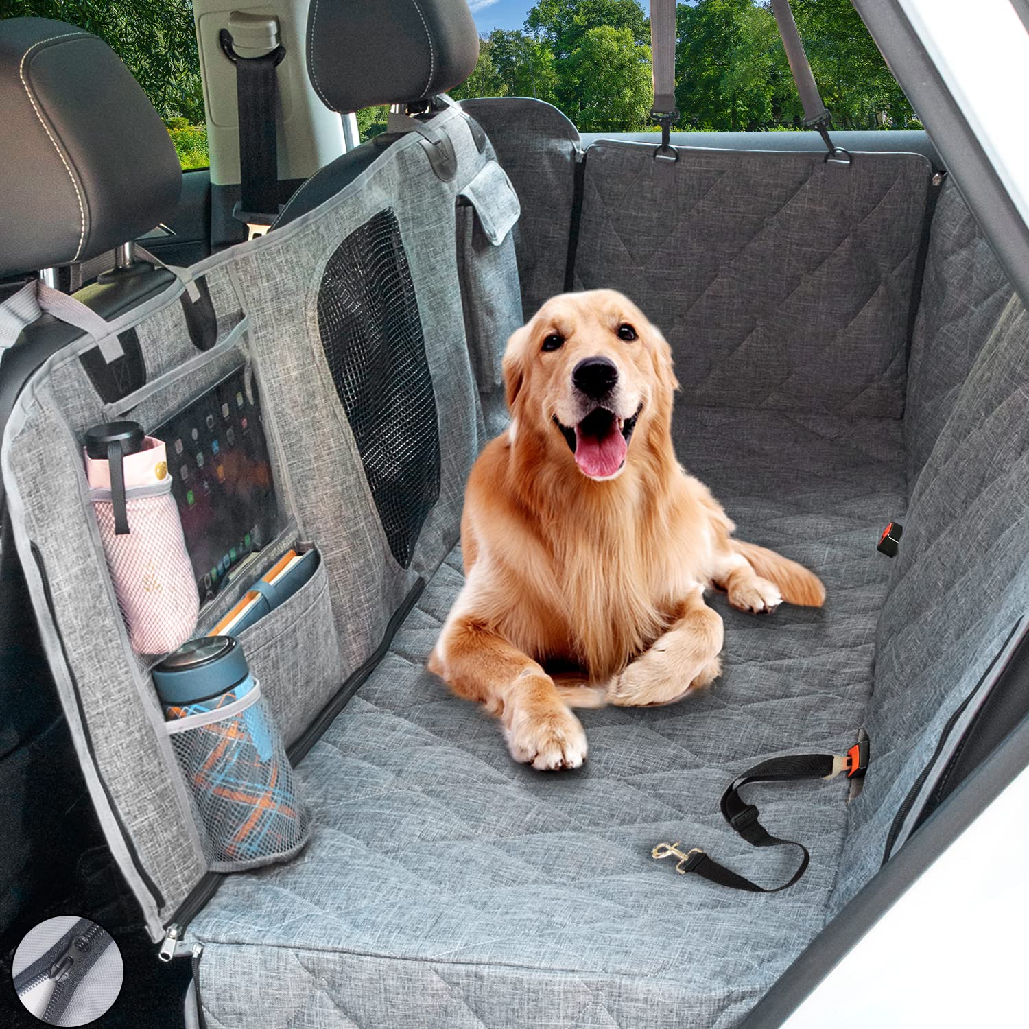 Marley's travel essentials for a doggy roadtrip cover photo collage