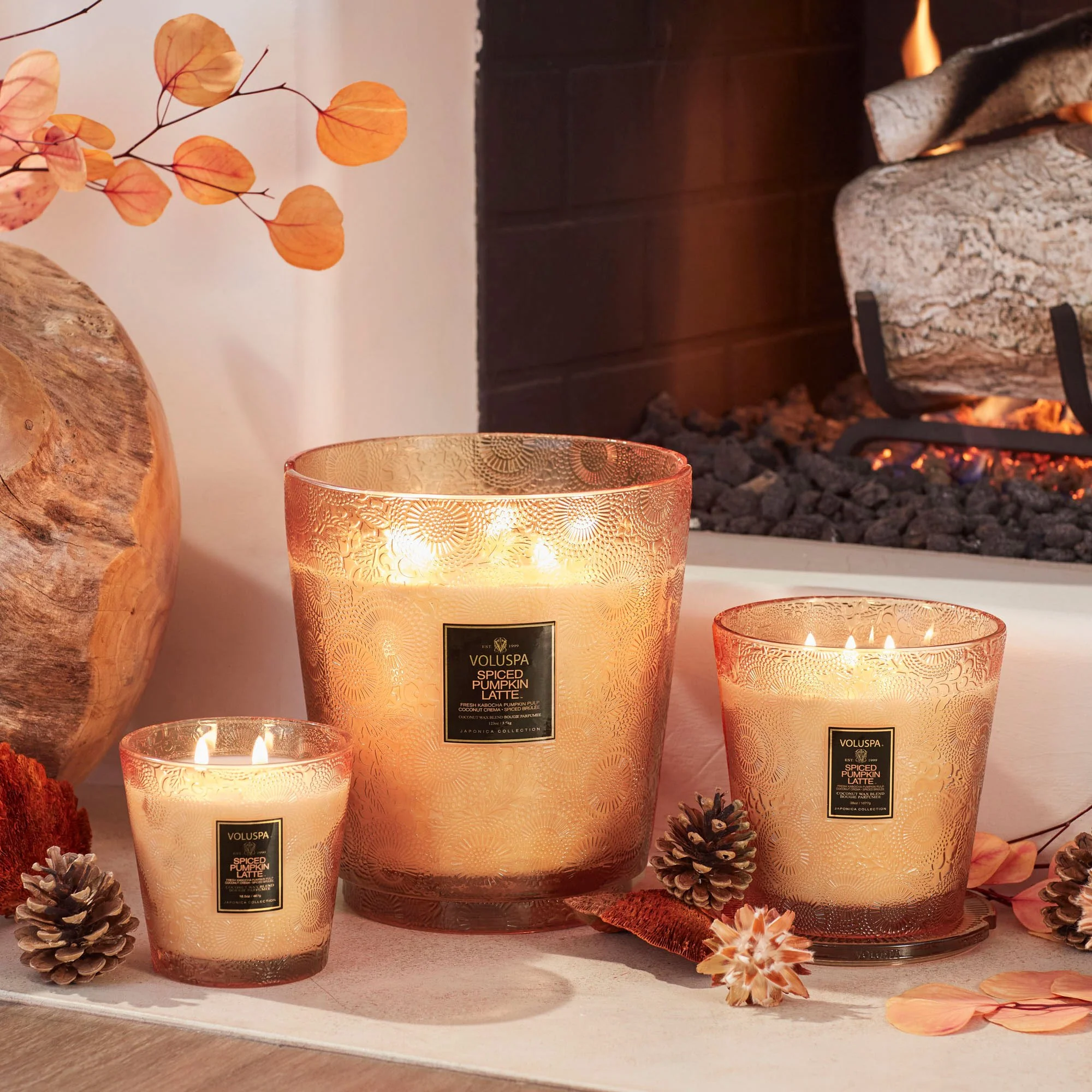 Smells Like Pumpkin Spice cover photo collage