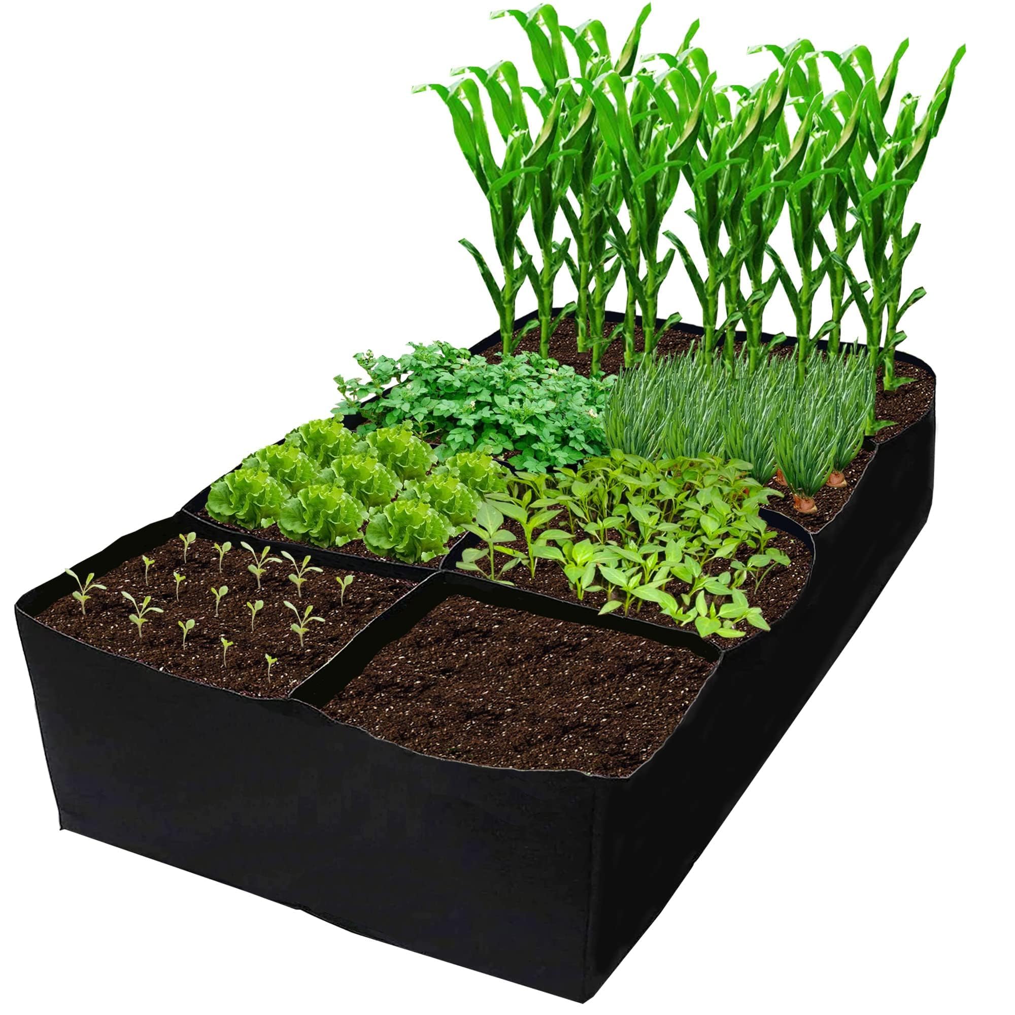 Indoor/Outdoor Gardening Essential cover photo collage