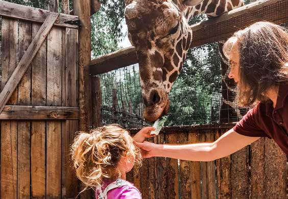 Top kids play areas for toddlers in the Treasure Valley Area cover photo collage