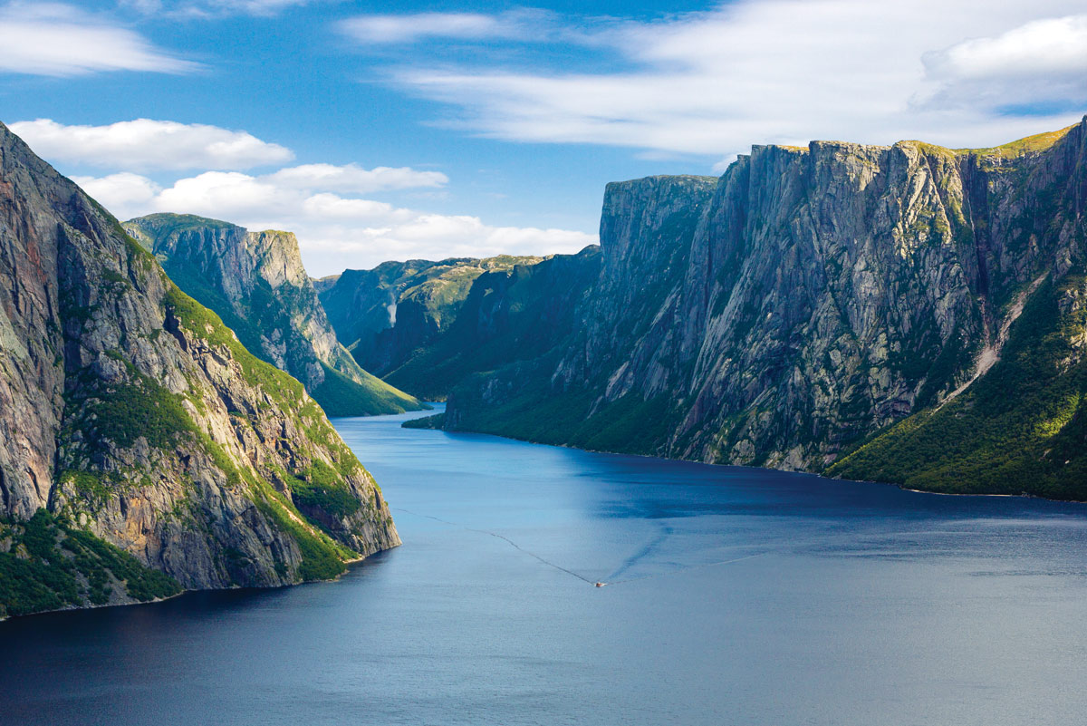 Things To See and Do In Newfoundland cover photo collage