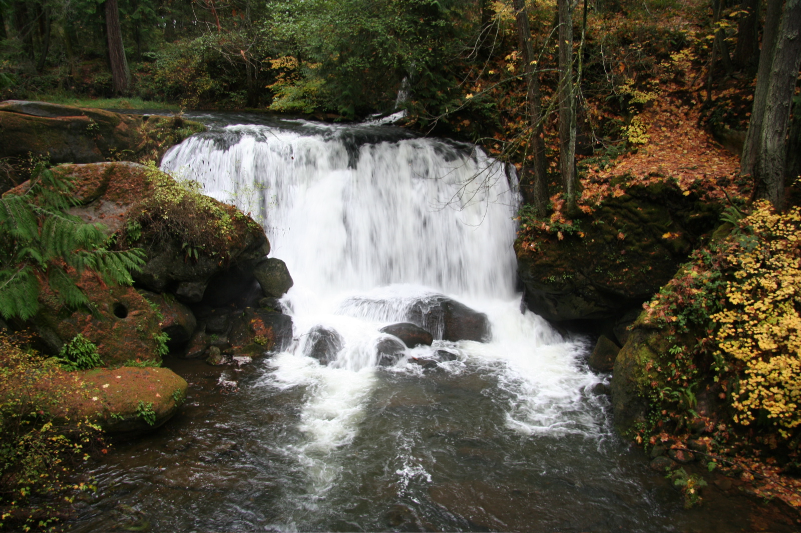 Things to do in Whatcom County cover photo collage