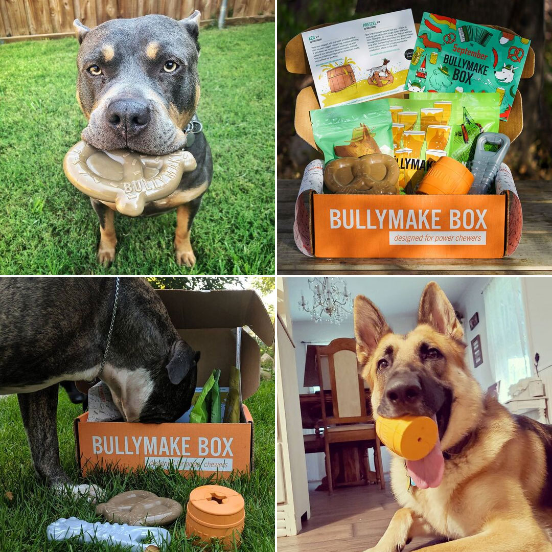 All Things Pets!🐾 cover photo collage