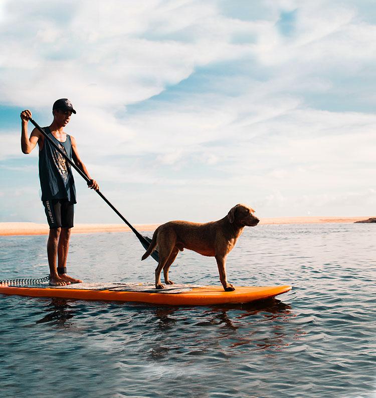 Paddle Boarding Sessions Must Haves cover photo collage