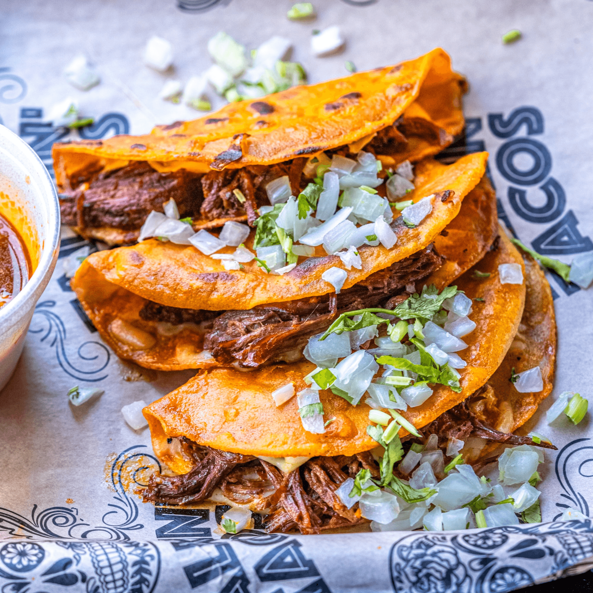 Things To Do in N. Orlando cover photo collage