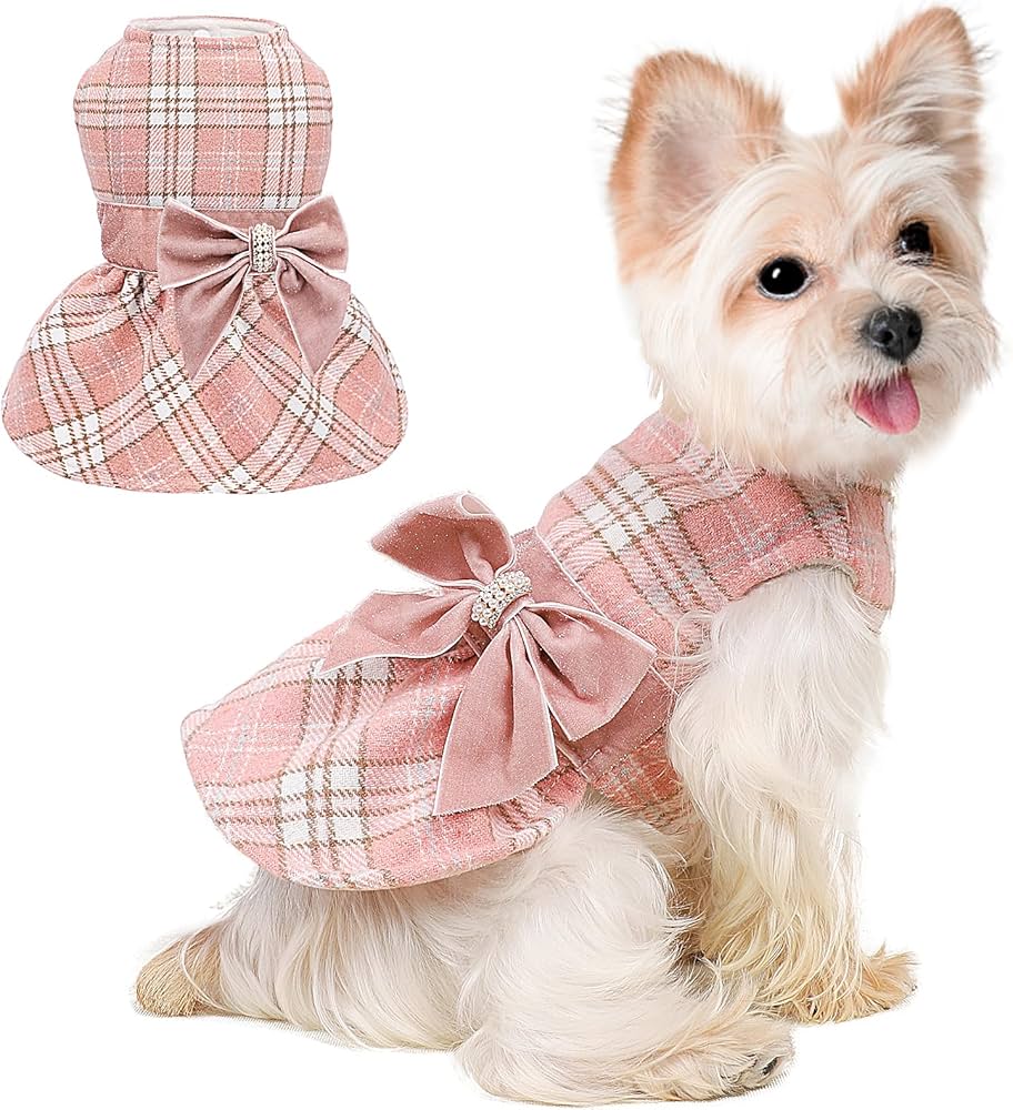 Puppy faves! (Small dog, teacup pomeranian) cover photo collage