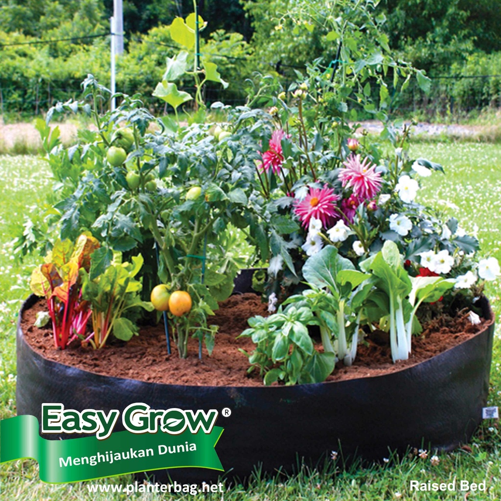 Must-Have Picks for Every Gardener cover photo collage