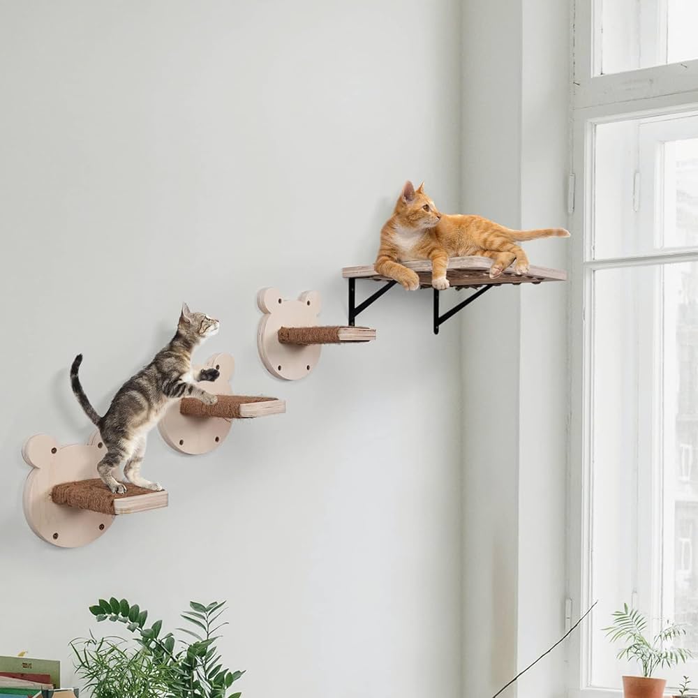Home Not Cat-Friendly? Transform with Essential Upgrades cover photo collage