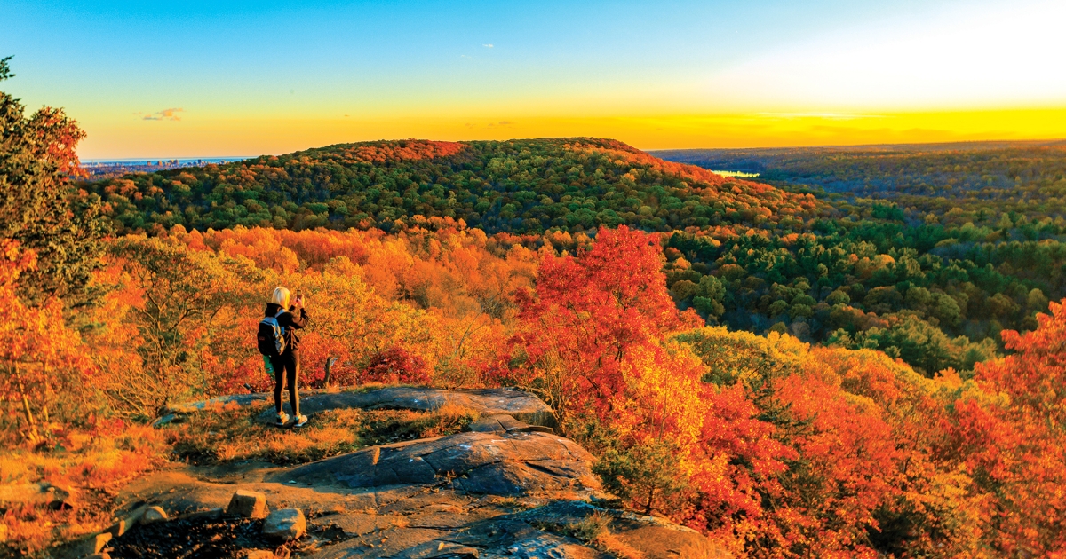 Free things to do in Connecticut (CT) for families/pets cover photo collage