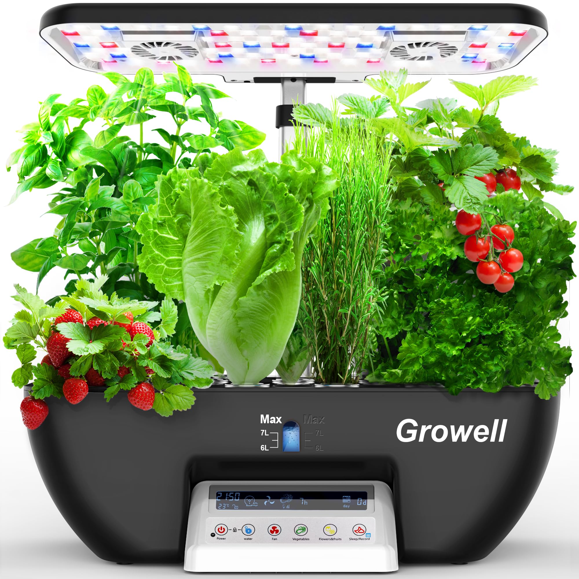 The Best Indoor Gardening Kits for Beginners cover photo collage