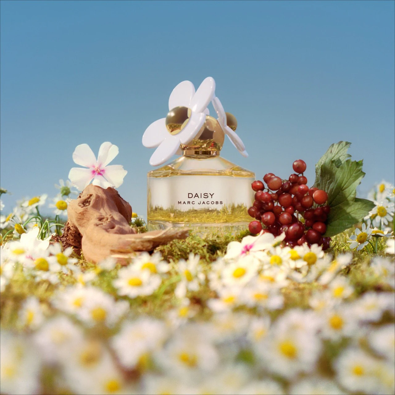 Just have to smell good!✨💖 cover photo collage