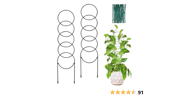 Plant Mama Needs cover photo collage