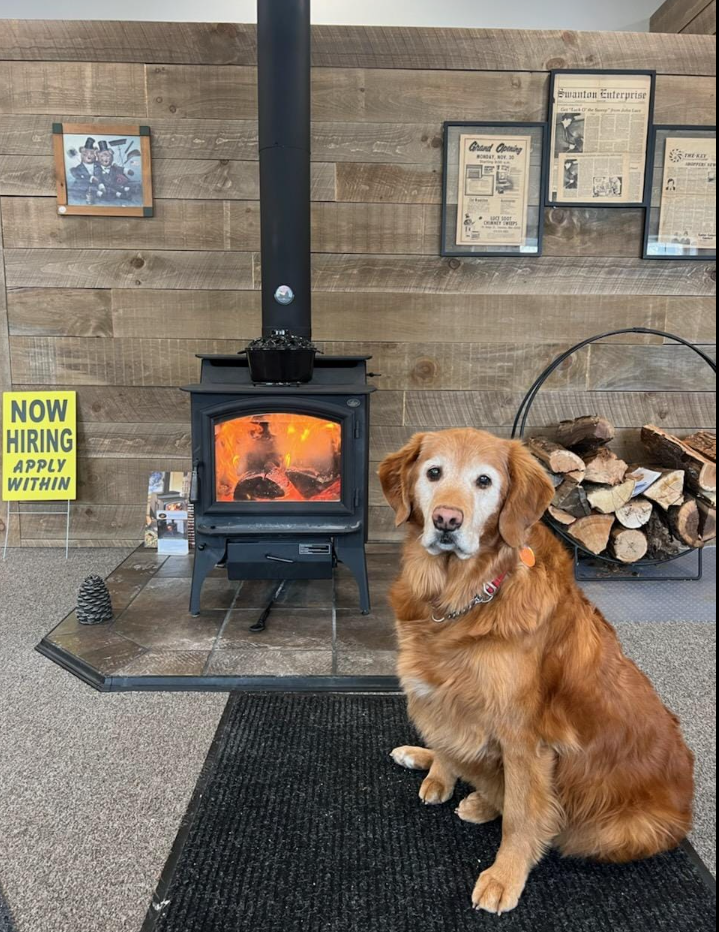 West coast Woodstove life cover photo collage