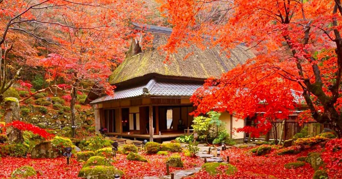 Guide to Autumn Leaves in Tokyo | MATOKA's Japan Travel Guide cover photo collage