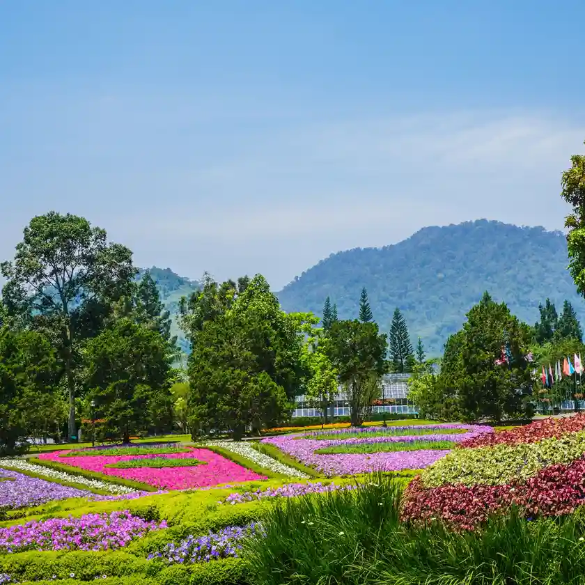 Destination in Bogor cover photo collage