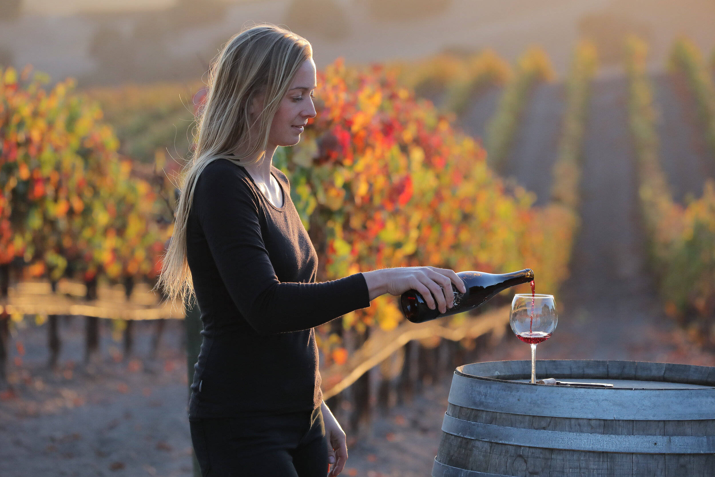 Tasting experiences across the world from the eyes of a  somm cover photo collage