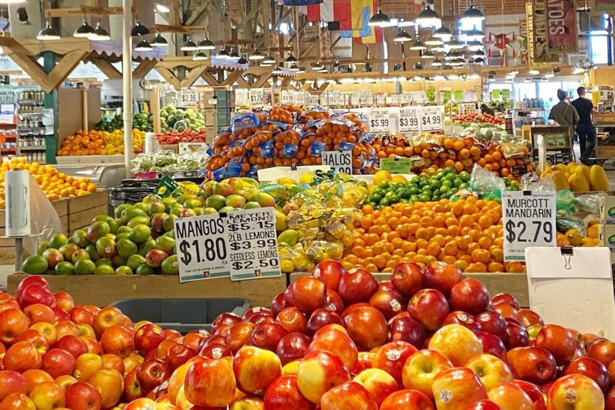 Fun Date Ideas in Lansing cover photo collage