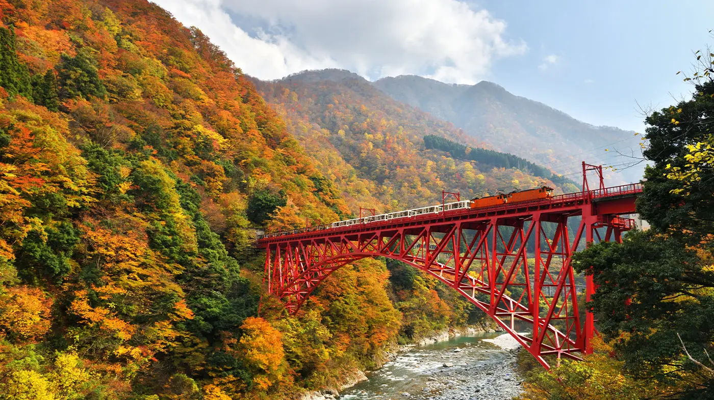 20 travel ideas for exploring Japan in autumn. cover photo collage
