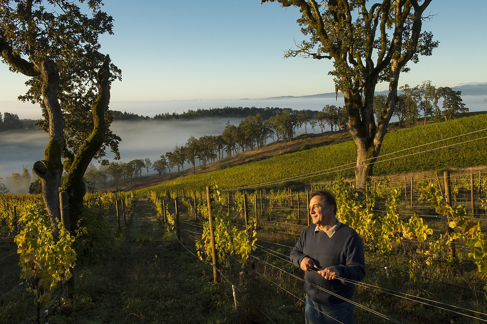 Women in Wine you need to know cover photo collage